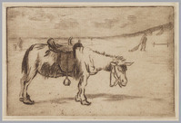 KG 08195a
<br/>
Ezel op het strand
<br/>
<em>Grootens, Adrianus Johannes (1864-1957)</em>